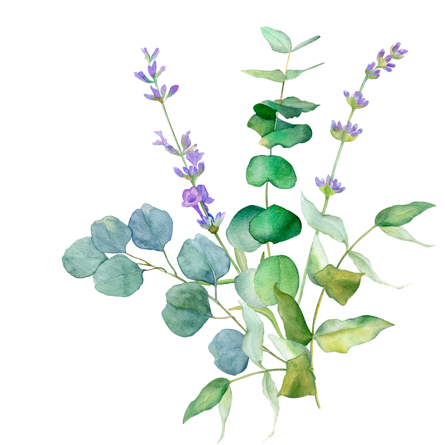 Lavender Eucalyptus Bouquet Card