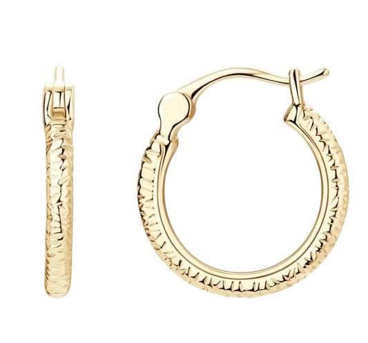 Golden Hoop Earrings (Sterling 925 Silver)