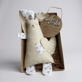 the baby bunny gift box