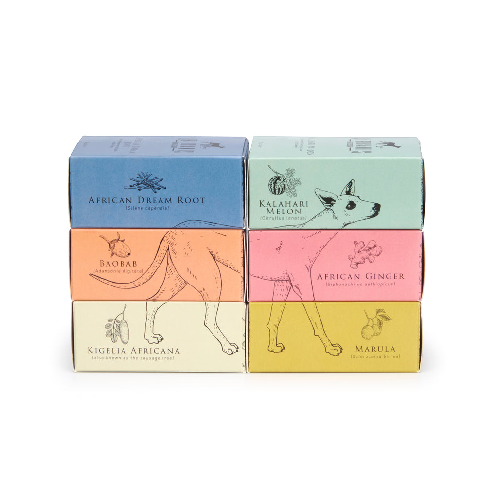 Home-Industry South Africa Africanis hard soap gift box set featuring six botanical bars in pastel illustrated boxes.