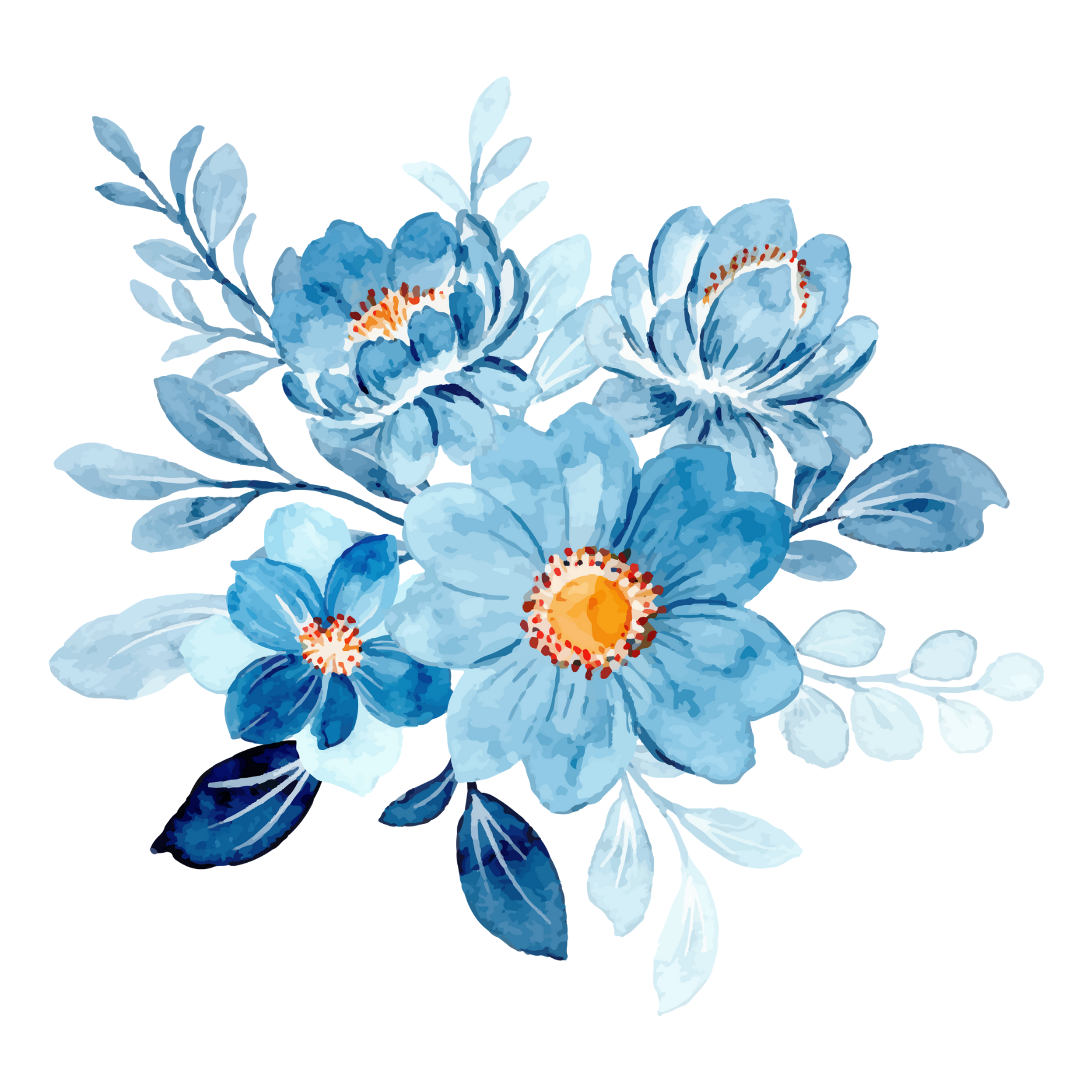 Daisy Blue Card